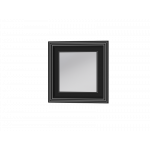 Зеркальная панель ТМ-80